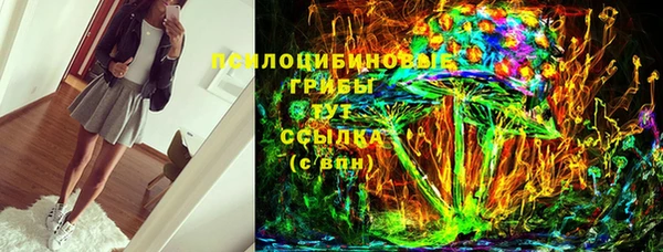 гашик Беломорск