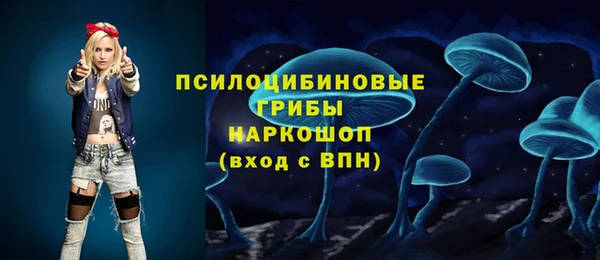 гашик Беломорск