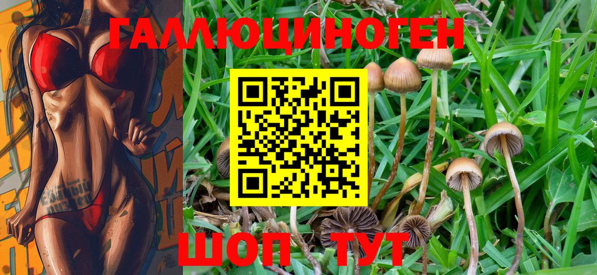 Великие Луки  Псилоцибиновые грибы Magic Shrooms  наркотики  Вход с VPN 