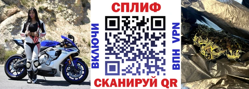 darknet как зайти  hydra   Великие Луки  Марихуана индика 